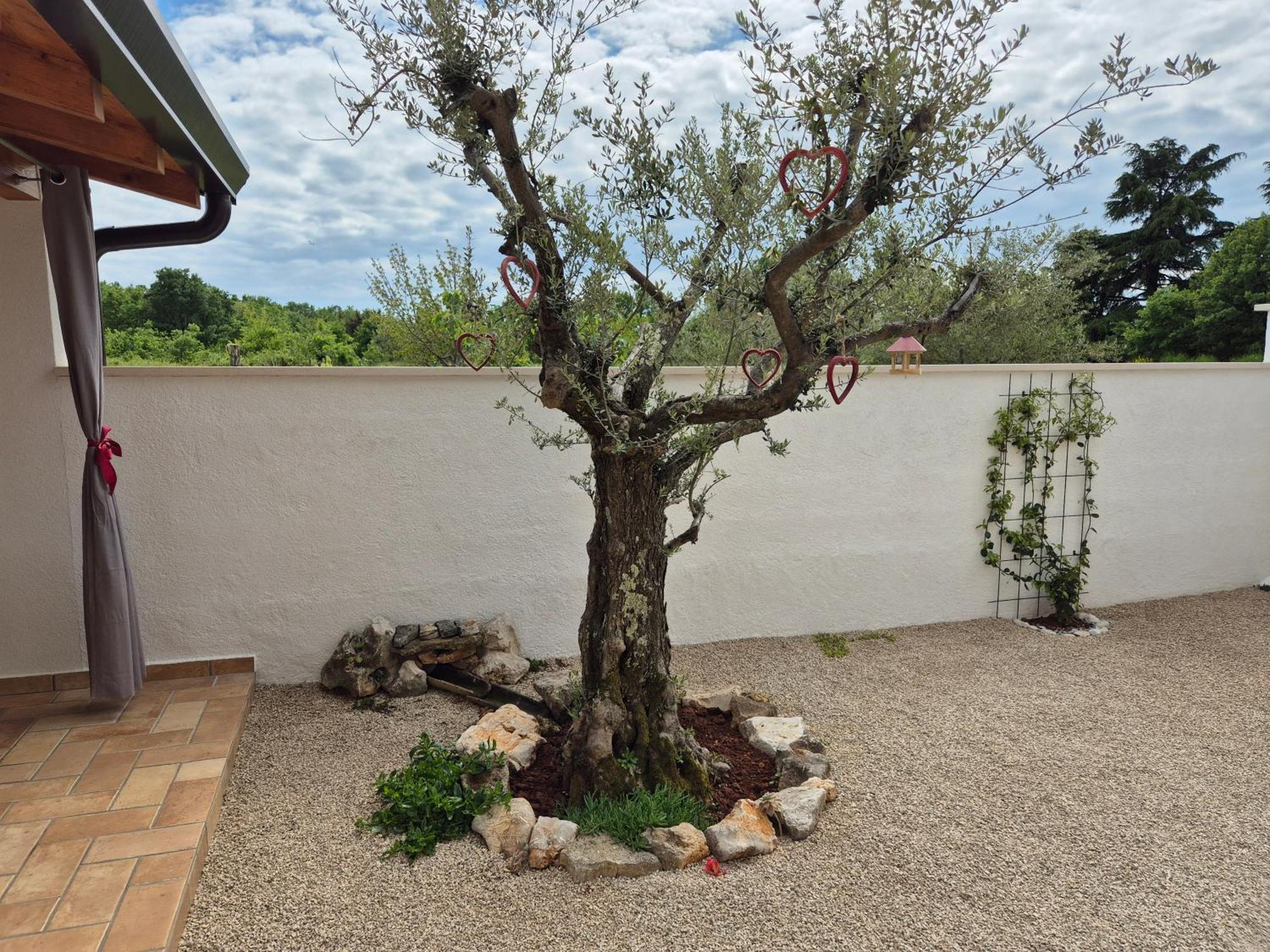 Apartment Vinja Porec - Privat Garden - Whirlpool Exterior foto