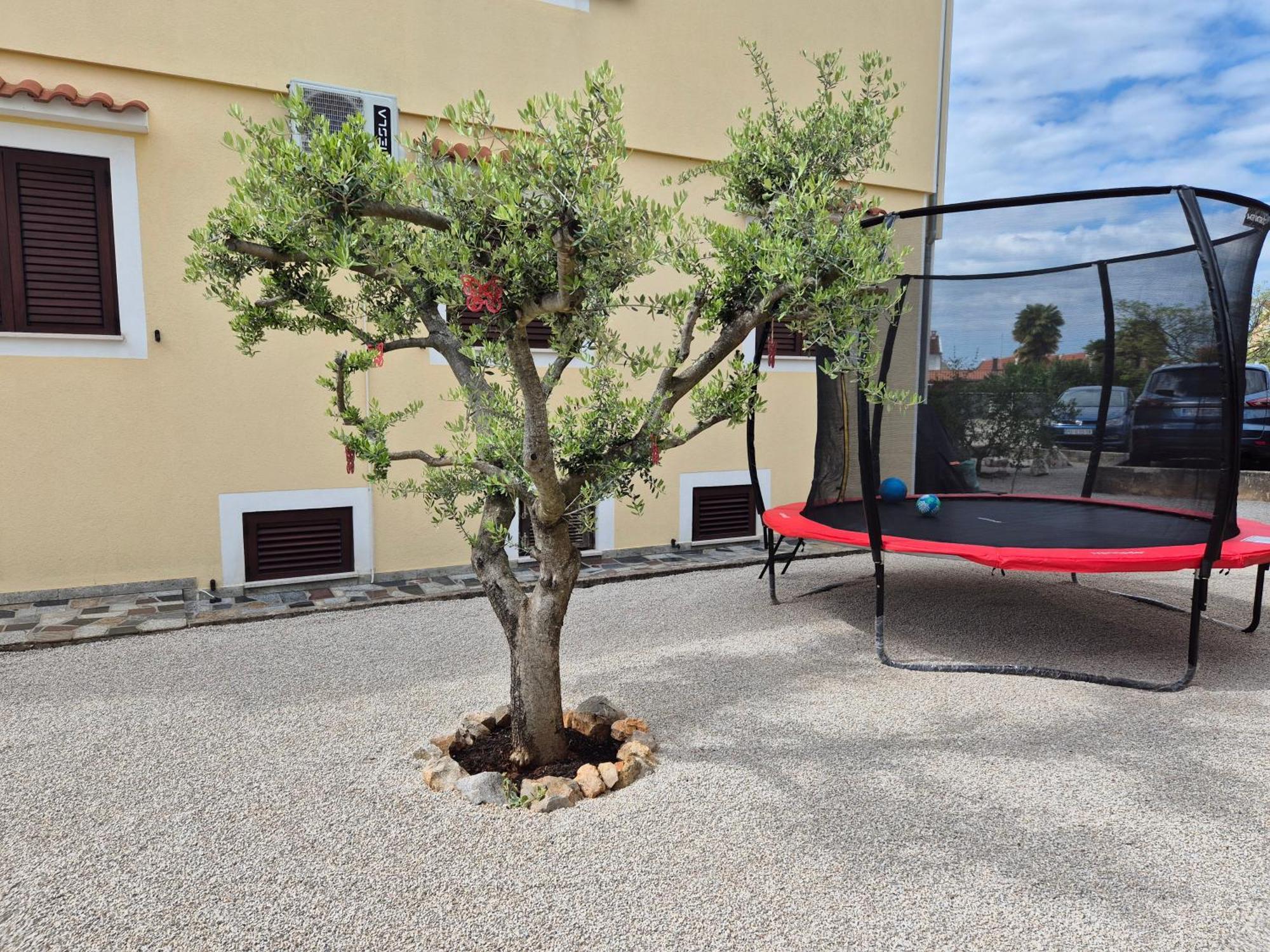 Apartment Vinja Porec - Privat Garden - Whirlpool Exterior foto
